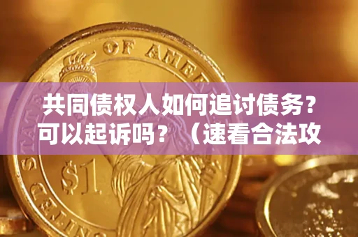 北京共同债权人如何追讨债务？可以起诉吗？（速看合法攻略）